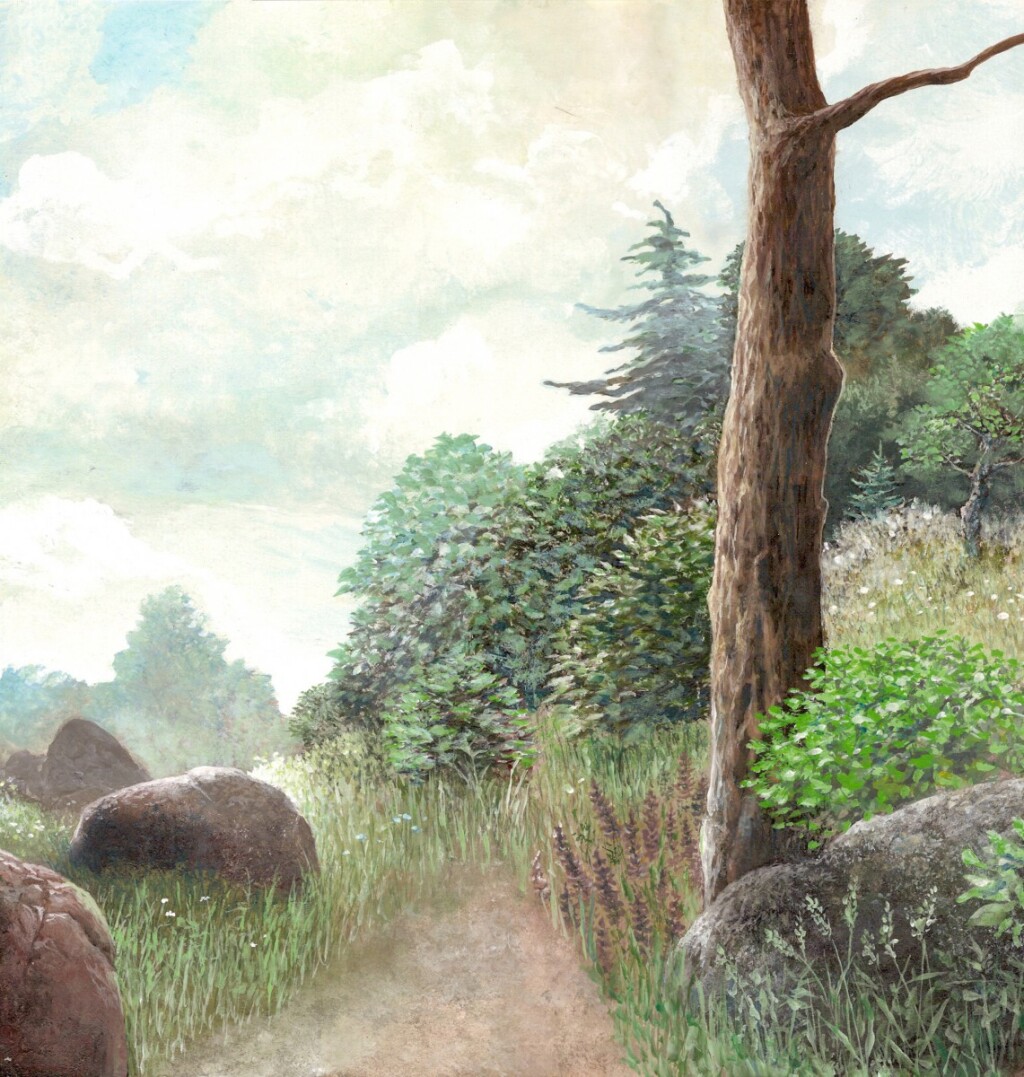 Окрестность