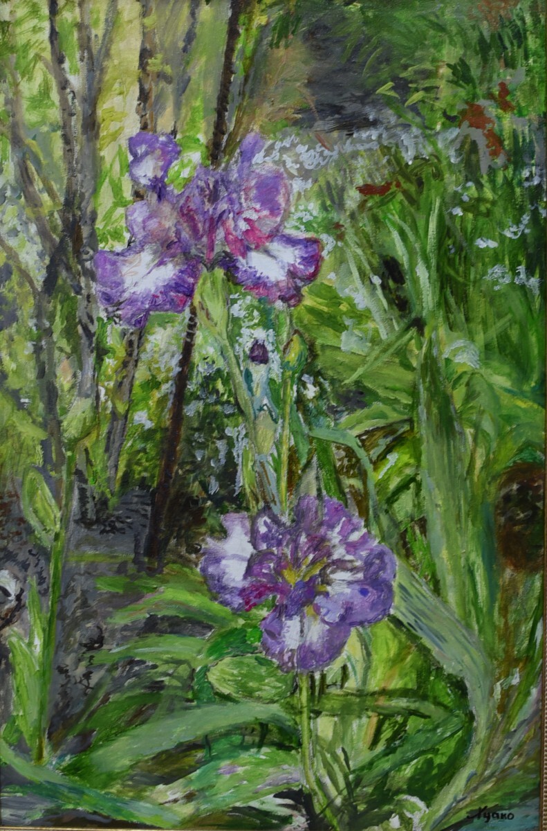 Ирисы