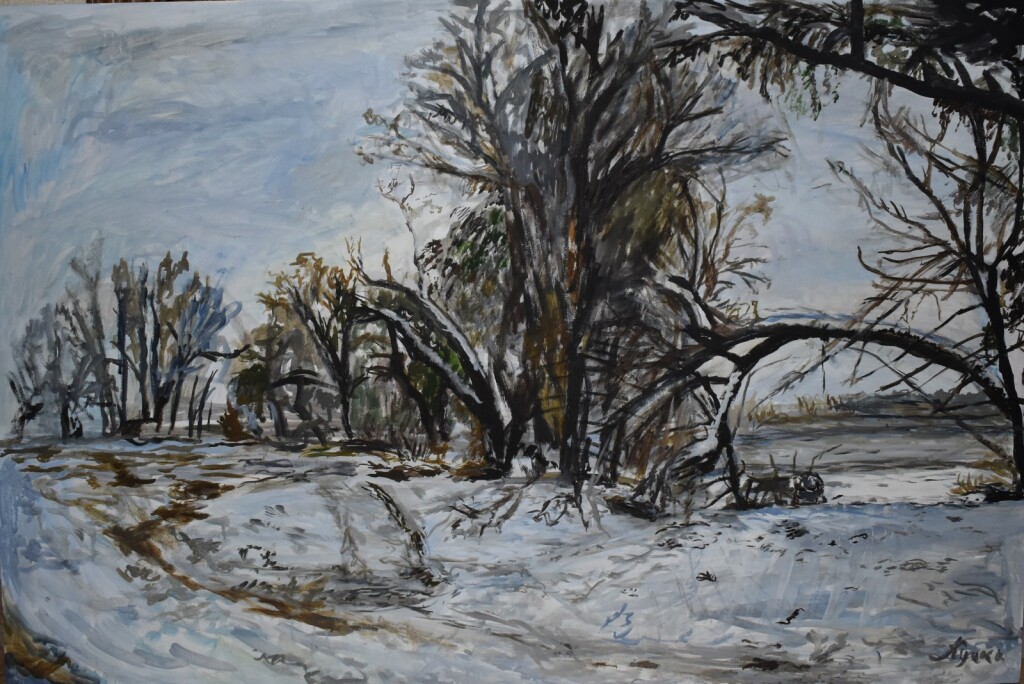 г. Краснодар, река Кубань 2017 год, зимний пейзаж №3