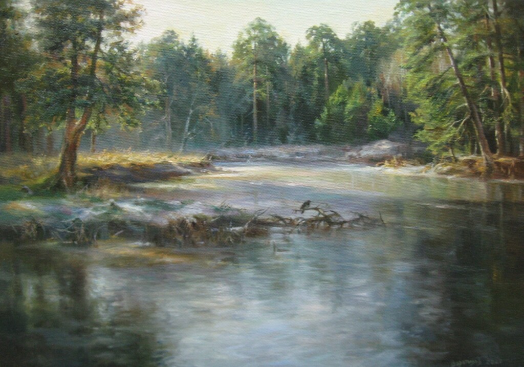 Замёрзший пруд