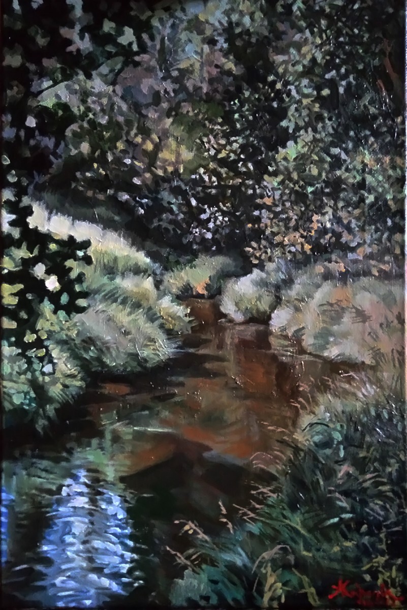 Лесная река