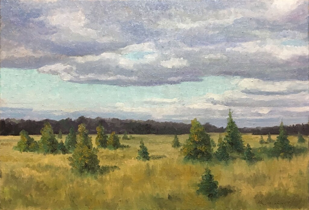 Поле, деревня "Пушкарка"