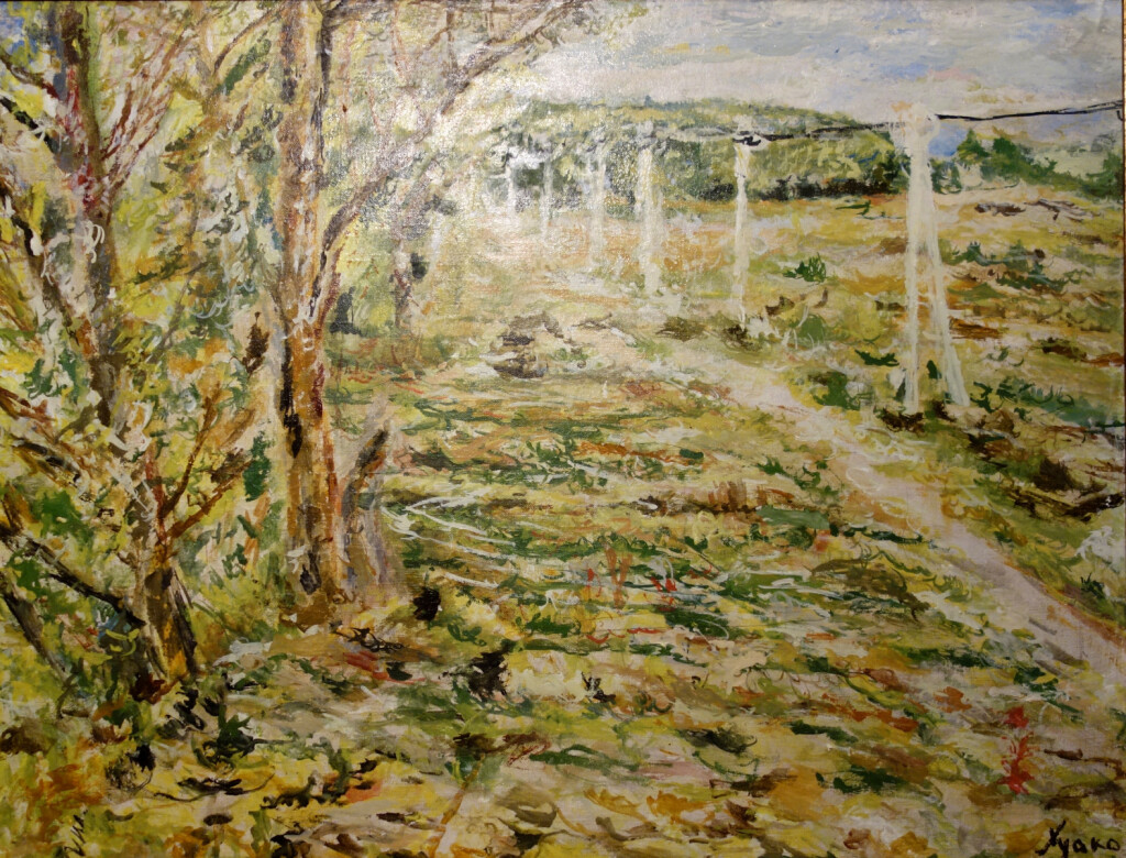 На р.Кубань, г. Краснодар 2010 год