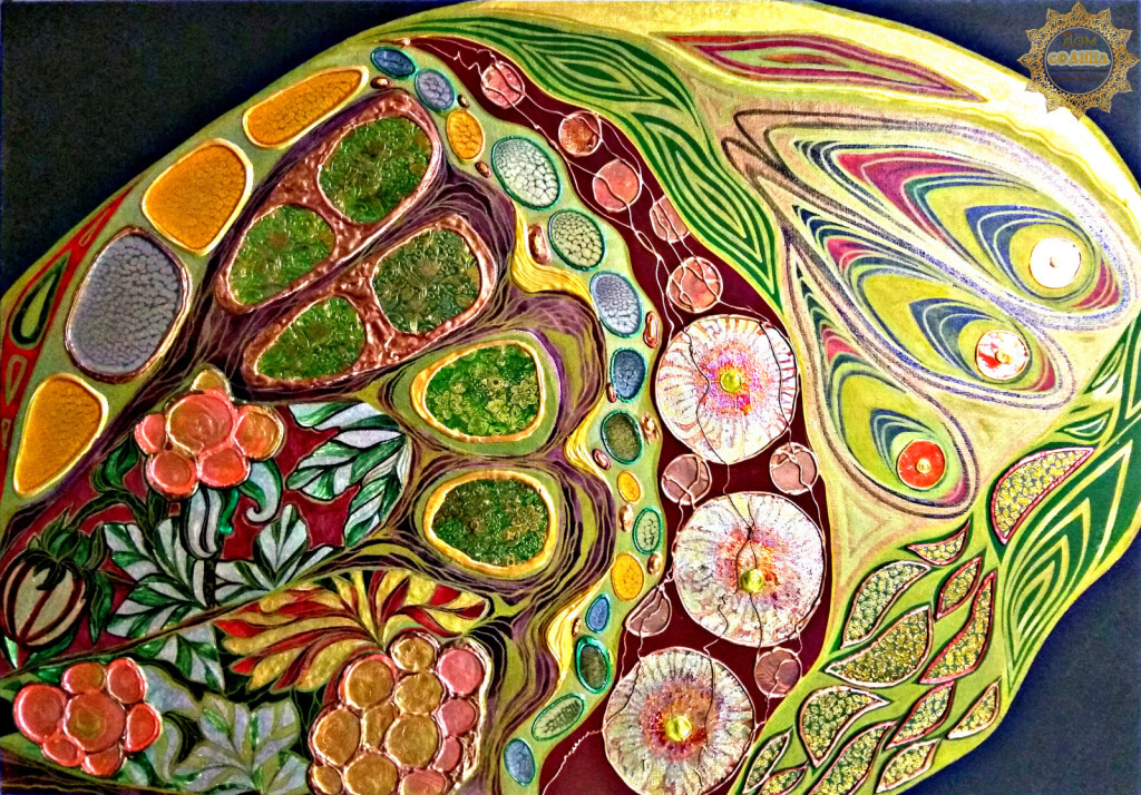 Крыло бабочки