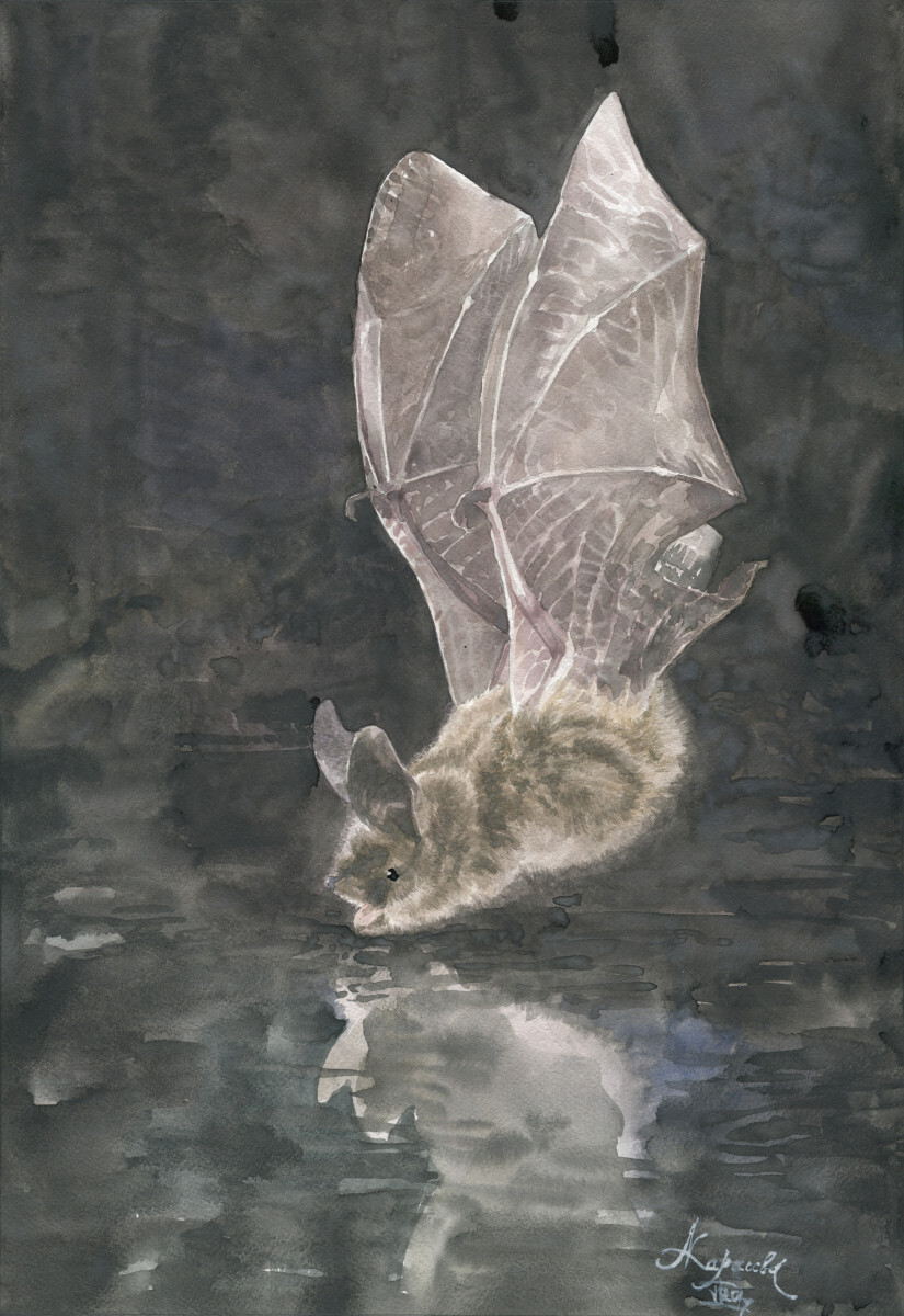 Ночной полет