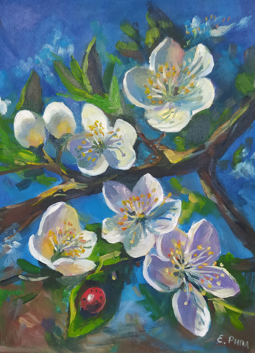 Цветет яблоня