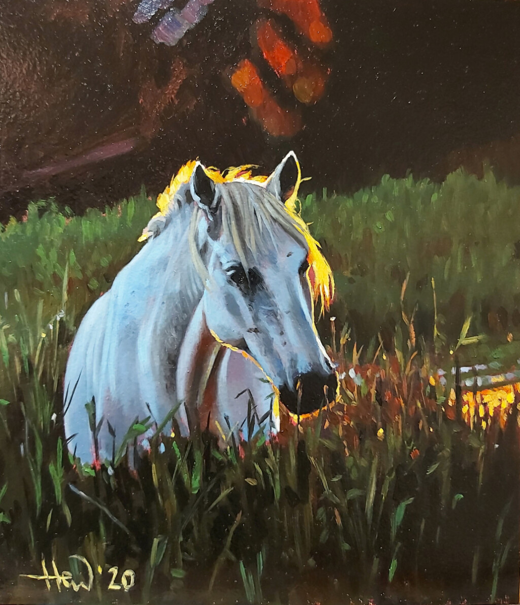 В лучах солнца