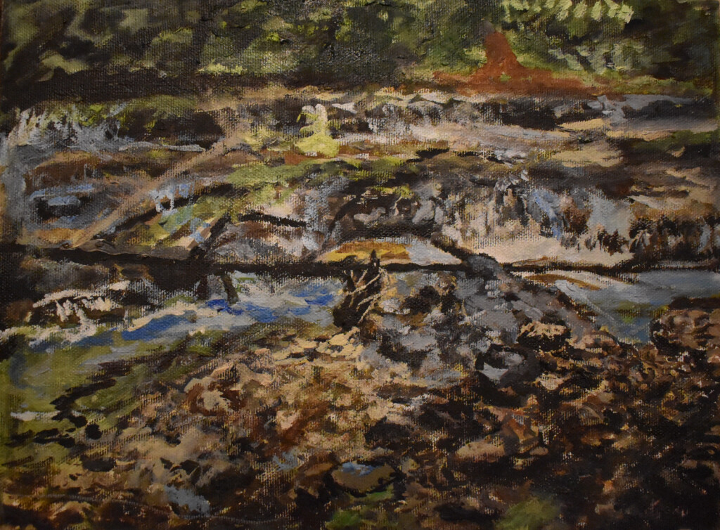 природа Мезмая картина № 3