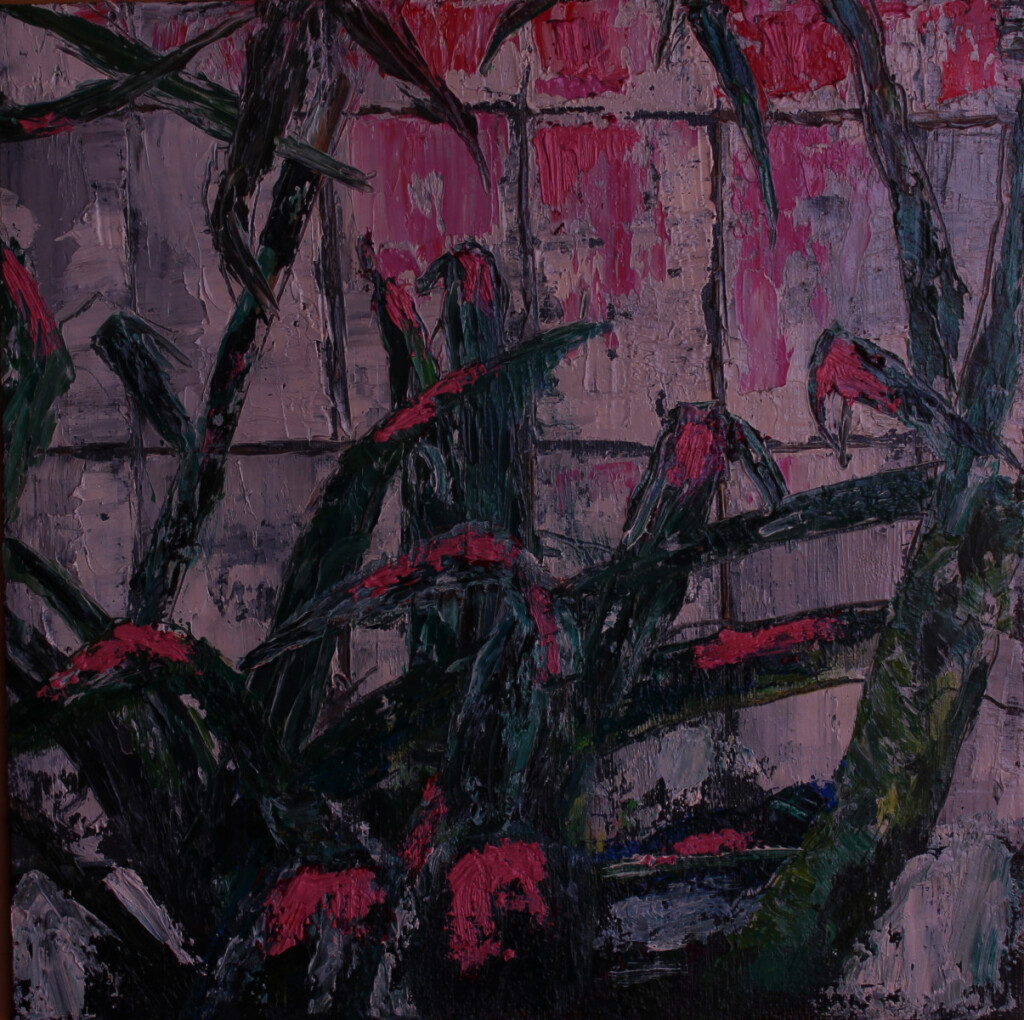 Растение под лампой