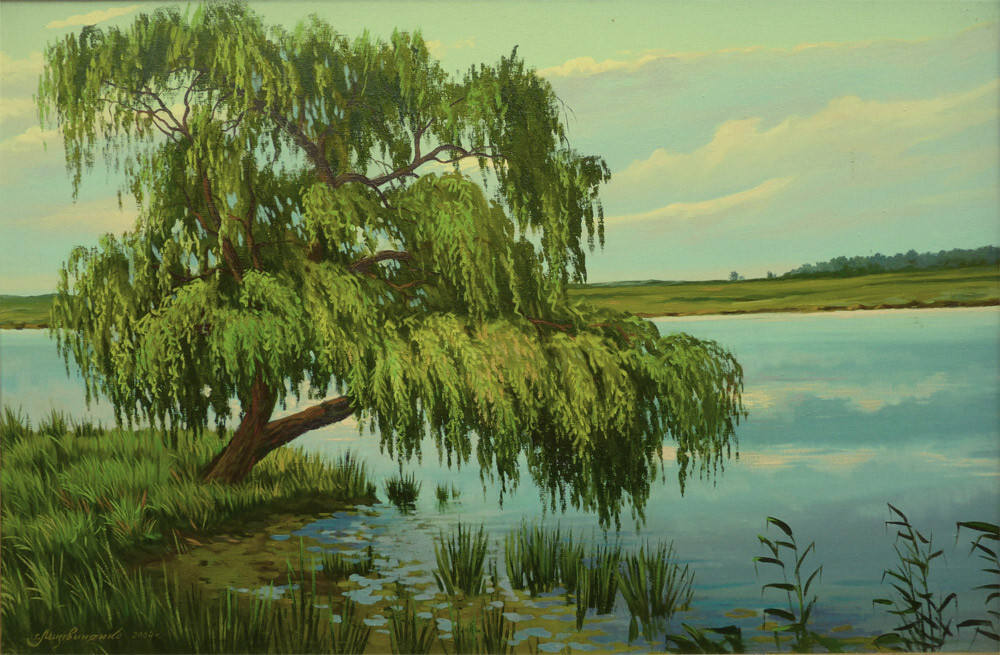 Тихий вечер