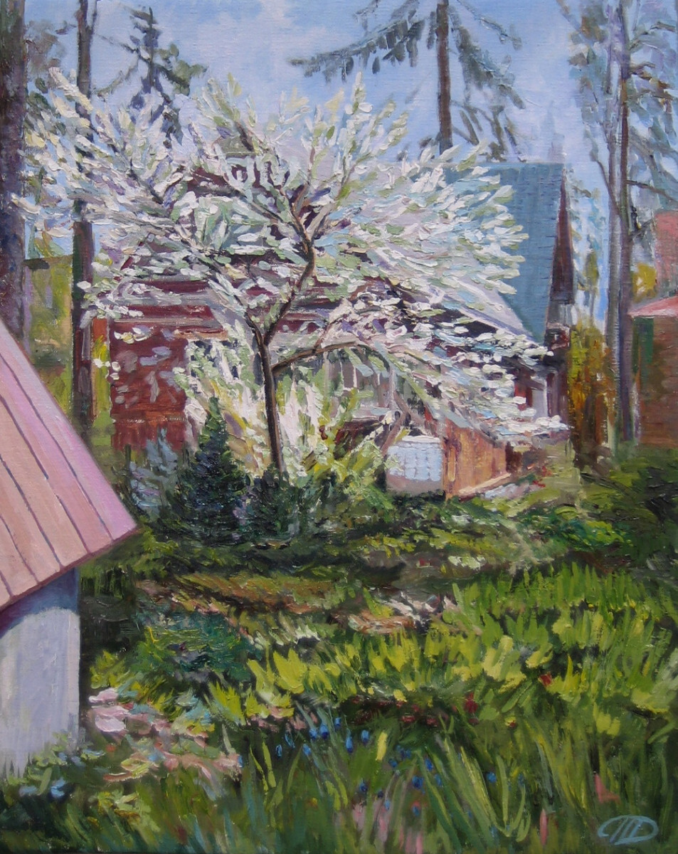 Терн цветет