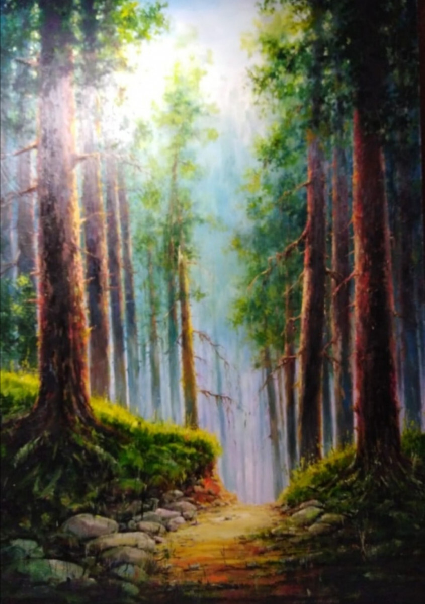 Чарующий лес