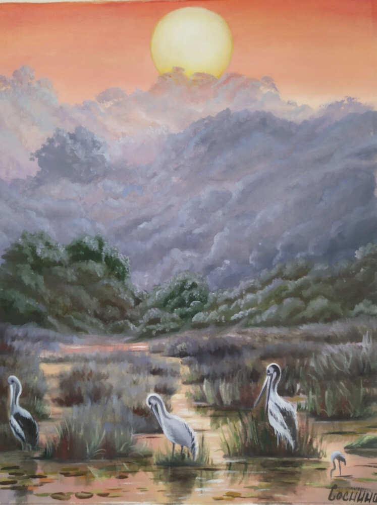 Аисты на закате солнца.