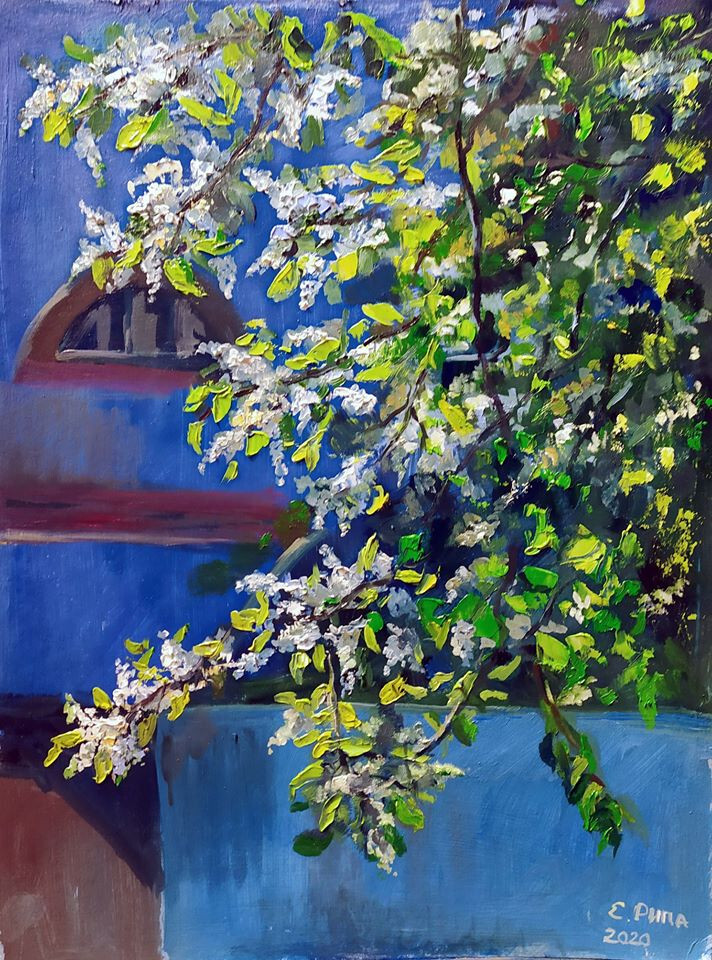 Солнечная черемуха