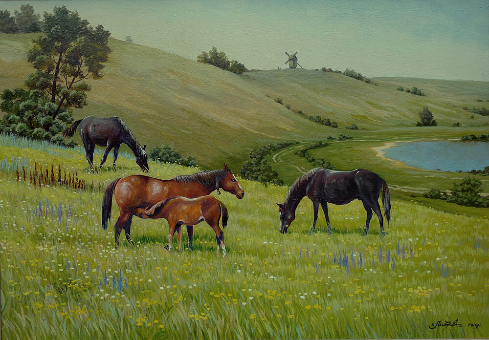 На Донских просторах