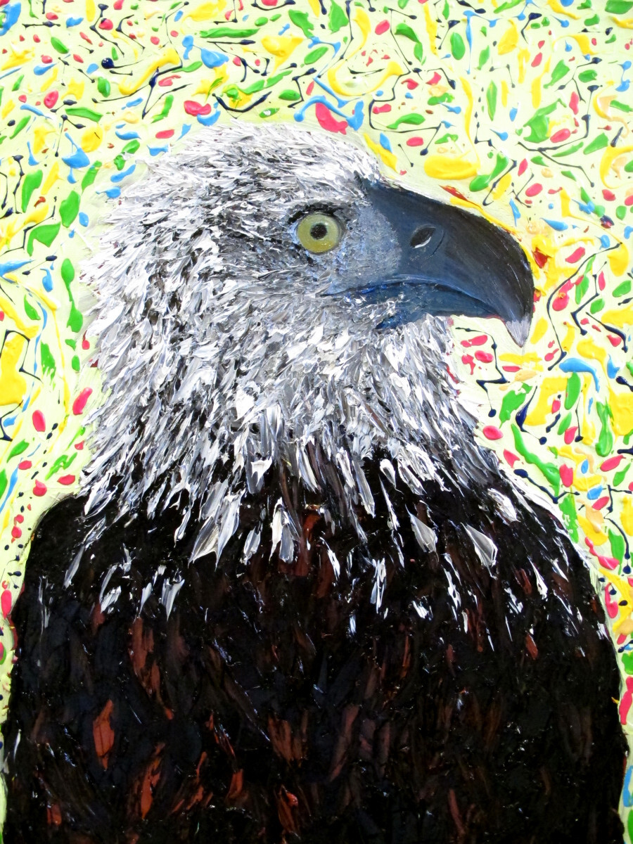 Белоголовый орёл