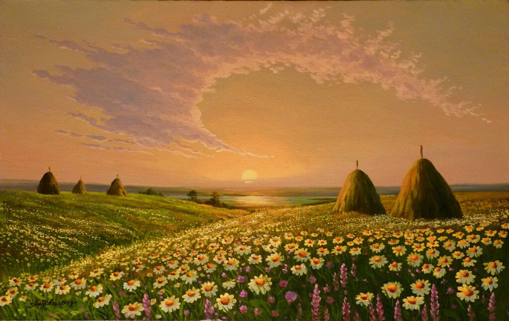 Ромашковый рай