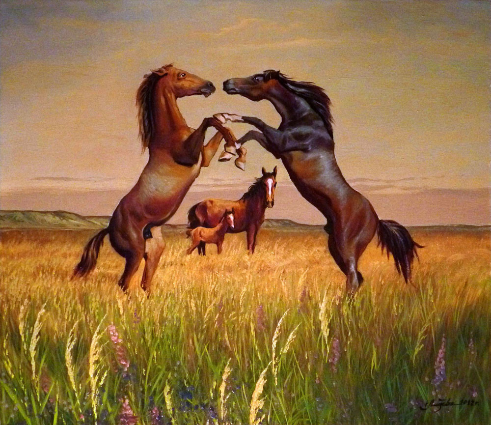 Степные разборки