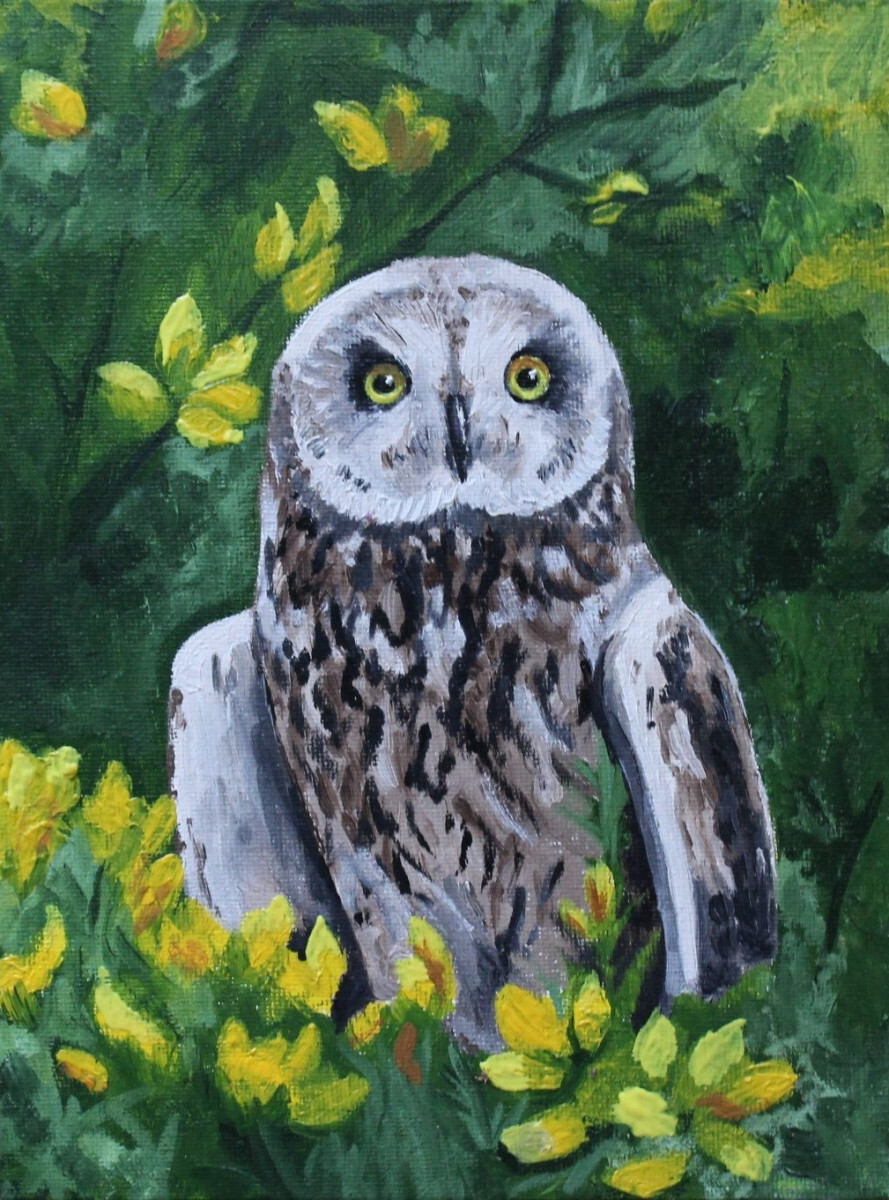 Сова в лесу