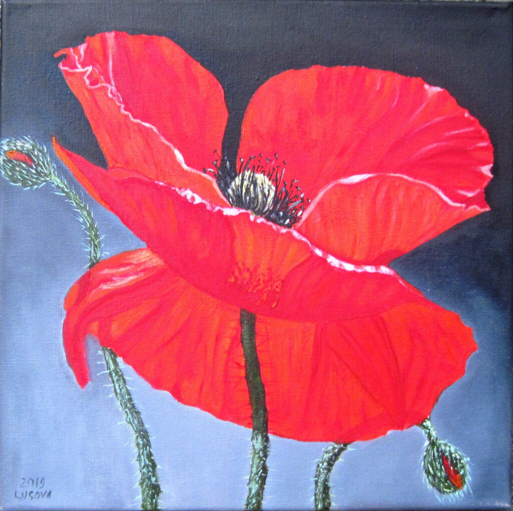 Красный мак