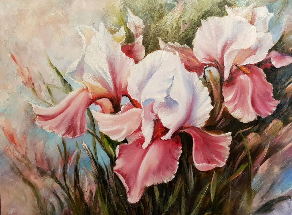 Ирисы