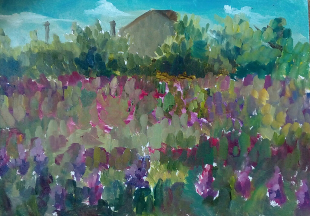 Поле люпинов