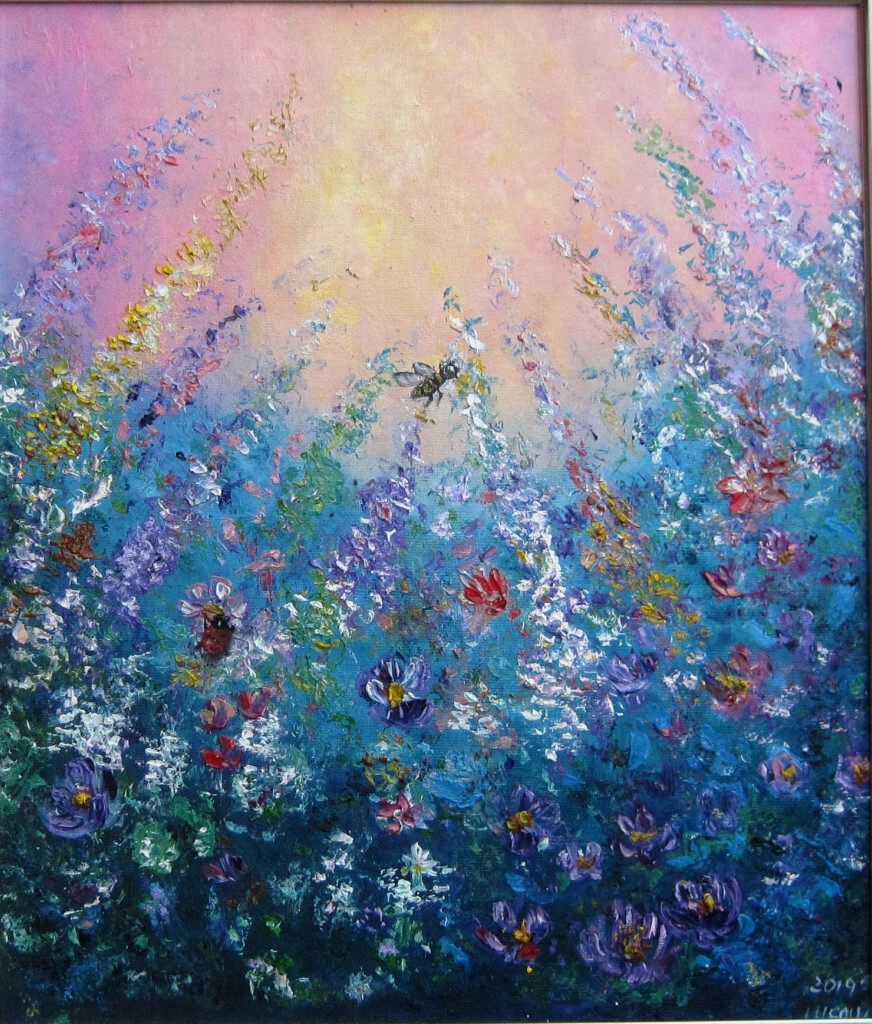 Полевые цветы