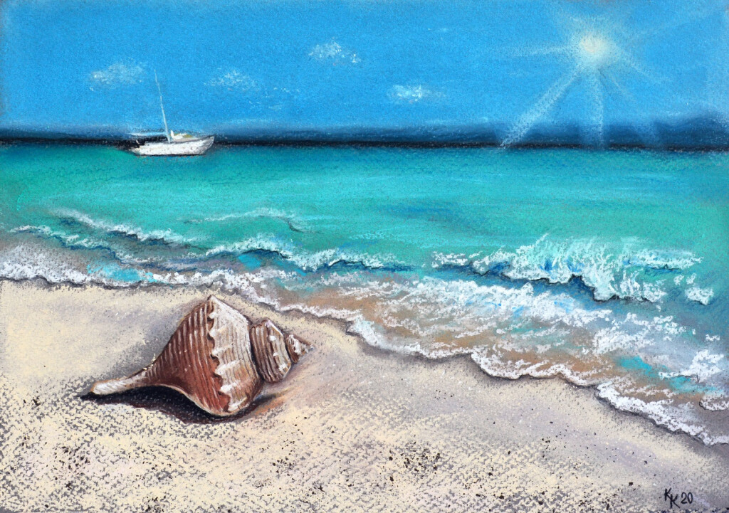 Морская ракушка