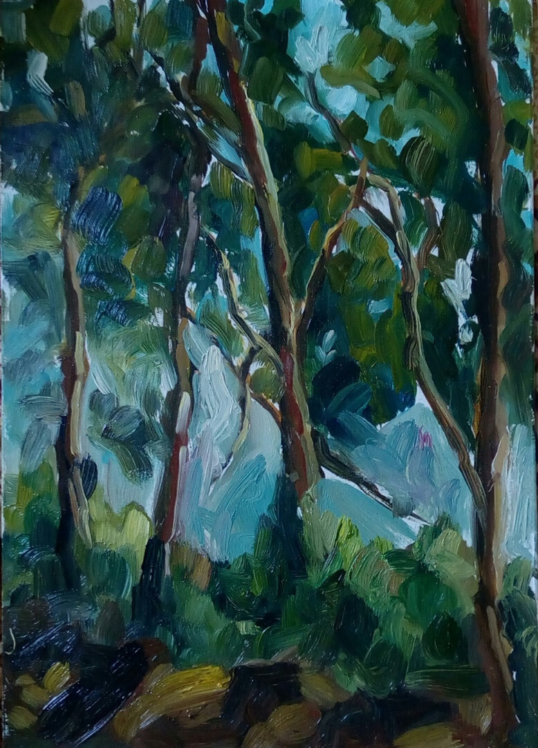 Деревья освещенные солнцем