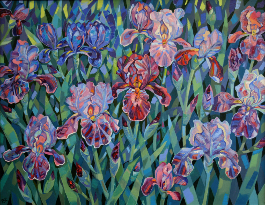 Вечерние ирисы