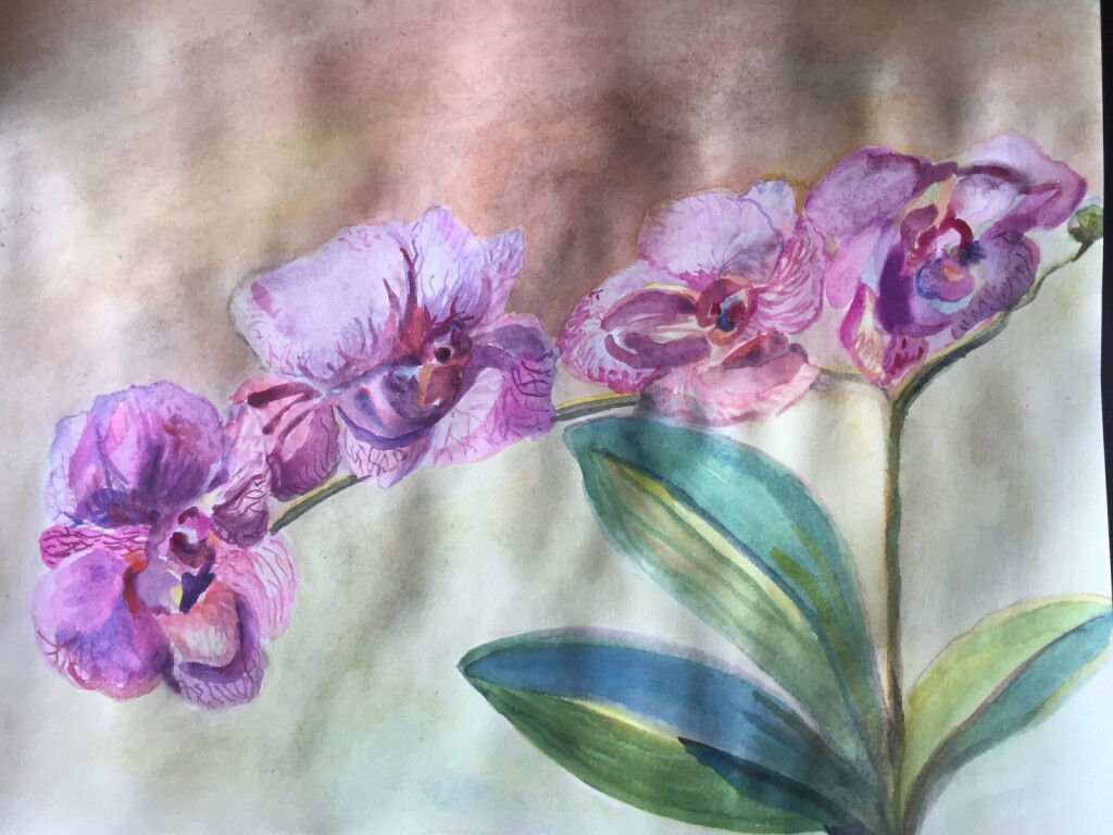 Одинокая орхи