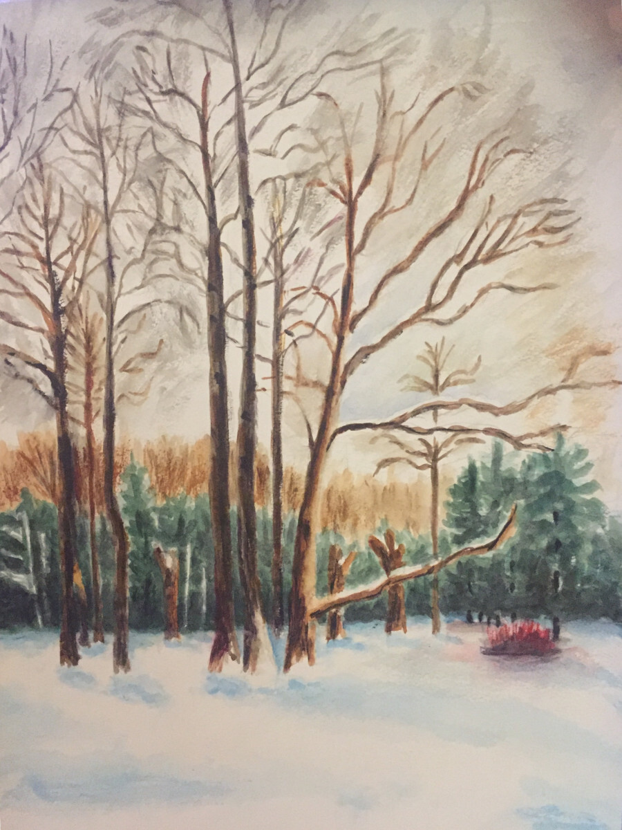 Баболовский парк. Царское село.