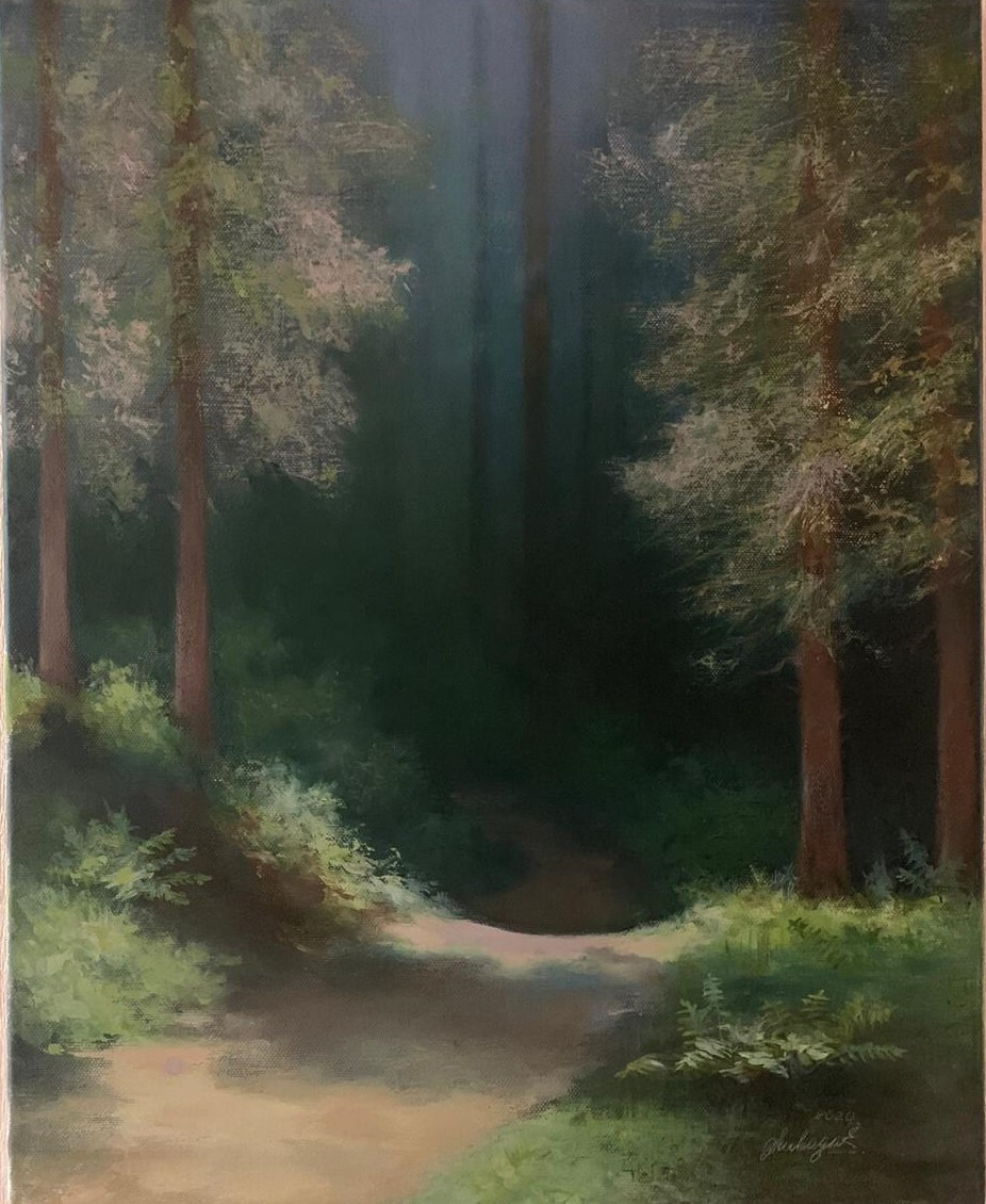 Папоротник в лесу