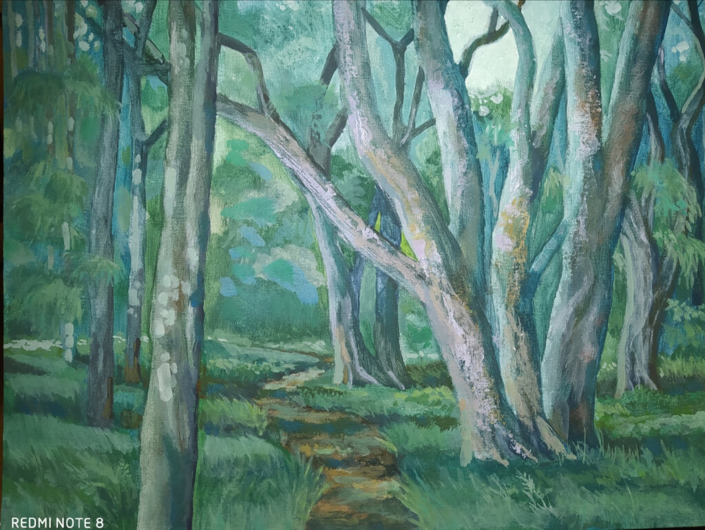 Тропинка среди эвкалиптов