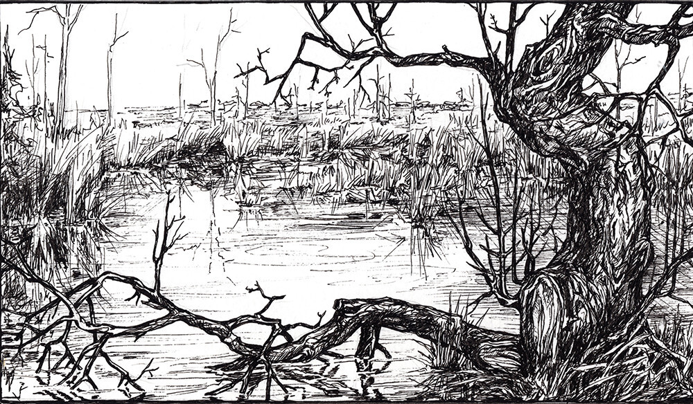 Затопленная марь