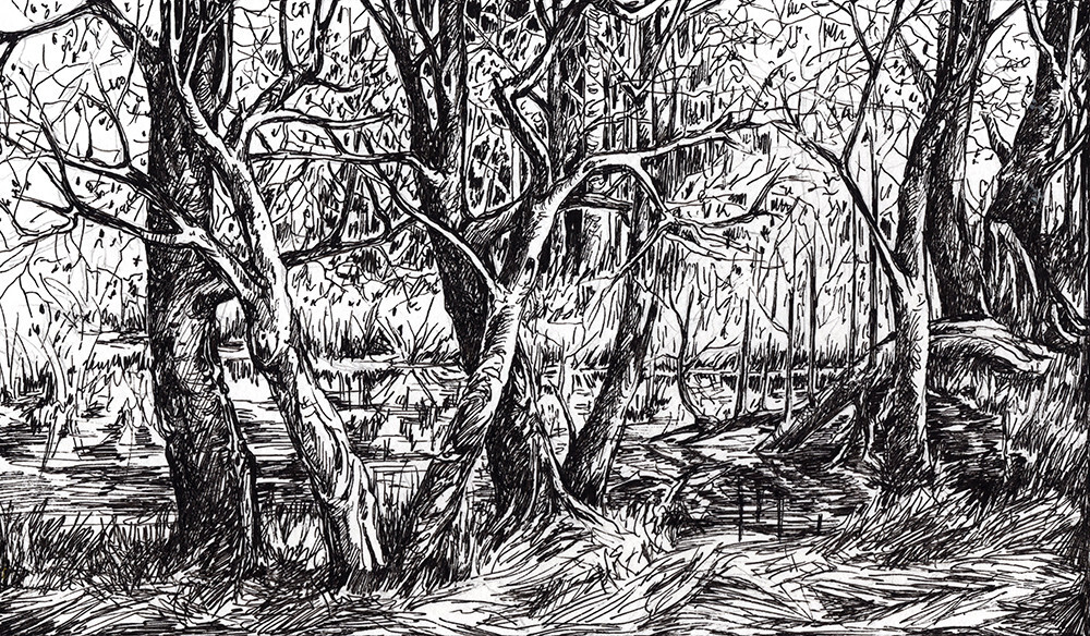 Речная старица