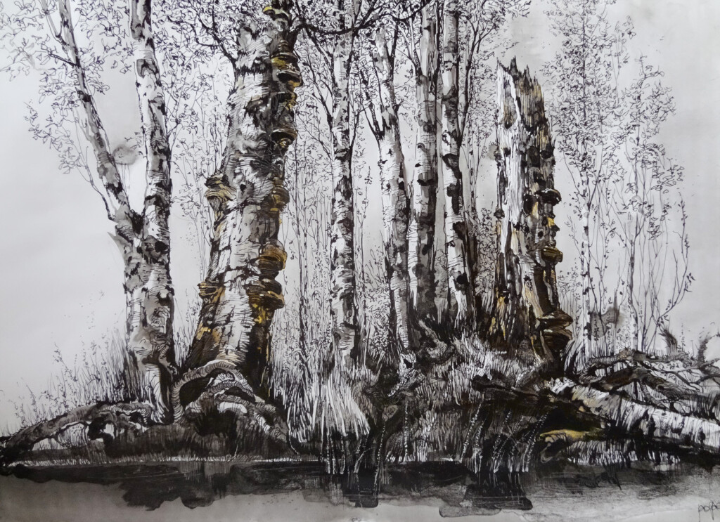 болотные дрова