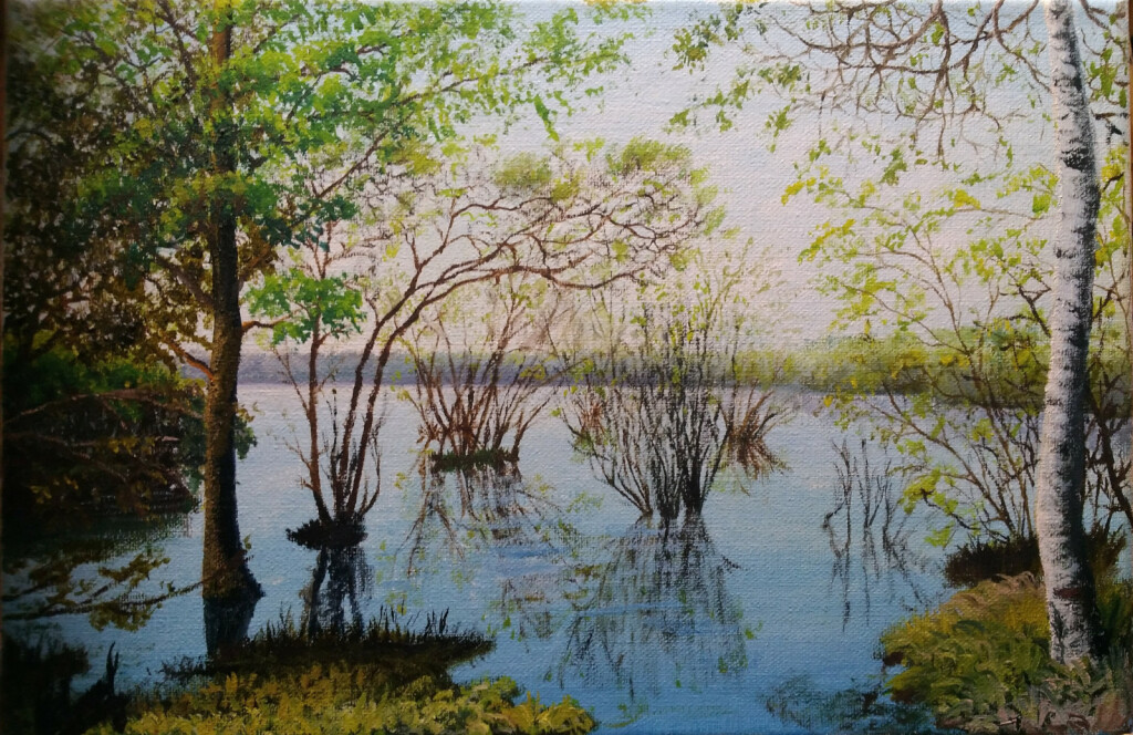 Весеннее половодье. Лемболово.