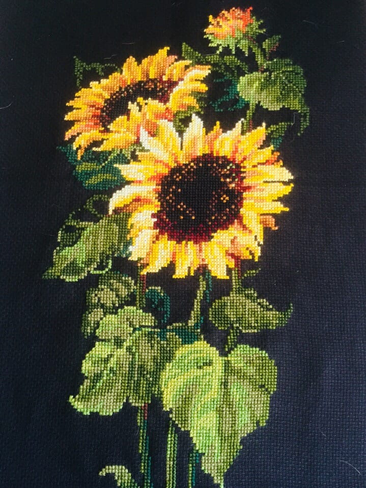 Подсолнухи