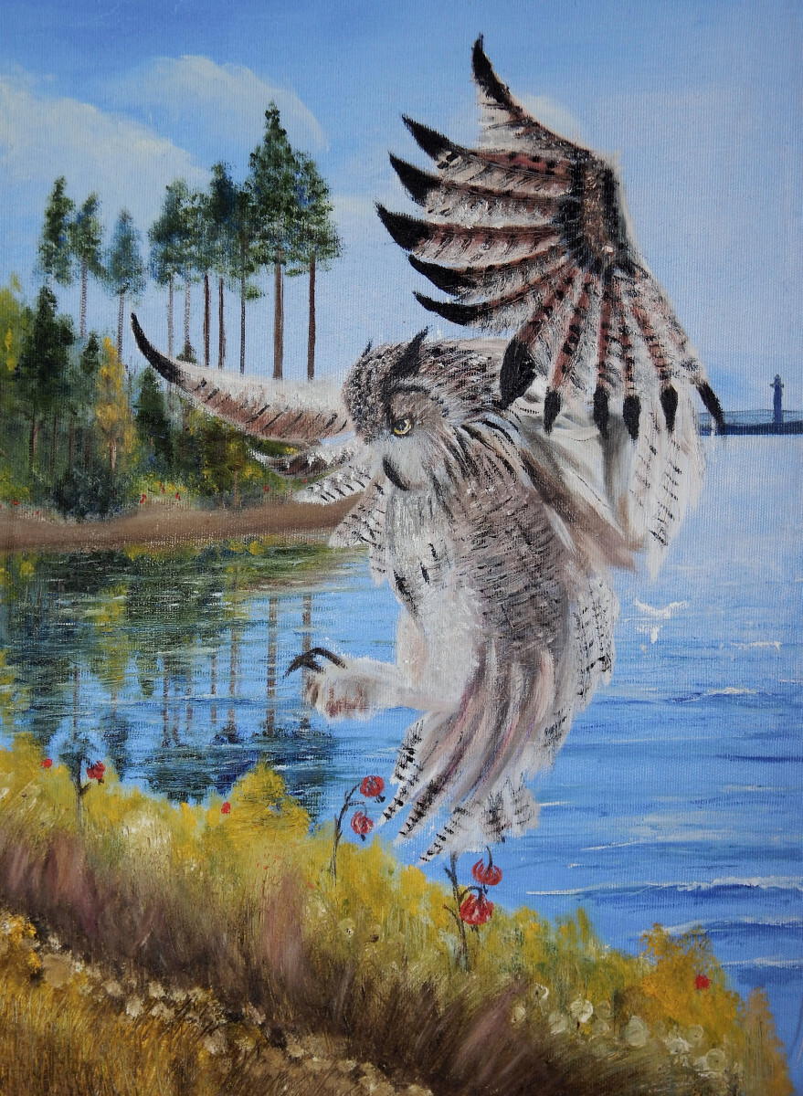 Сова прилетела