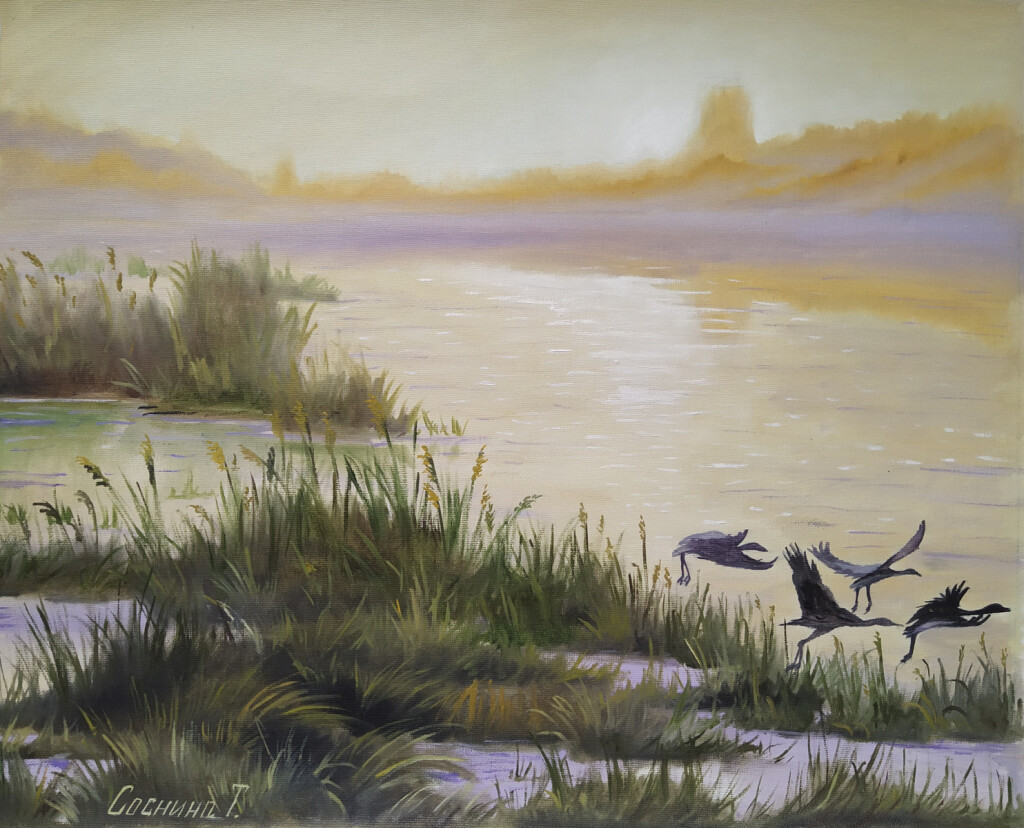 Журавли на рассвете.