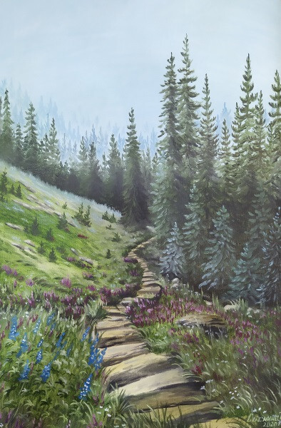 Туман в еловом лесу.