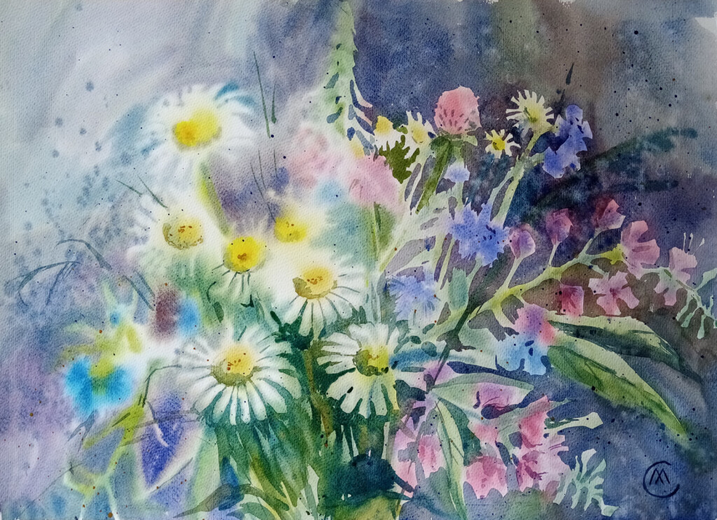 Полевые цветы