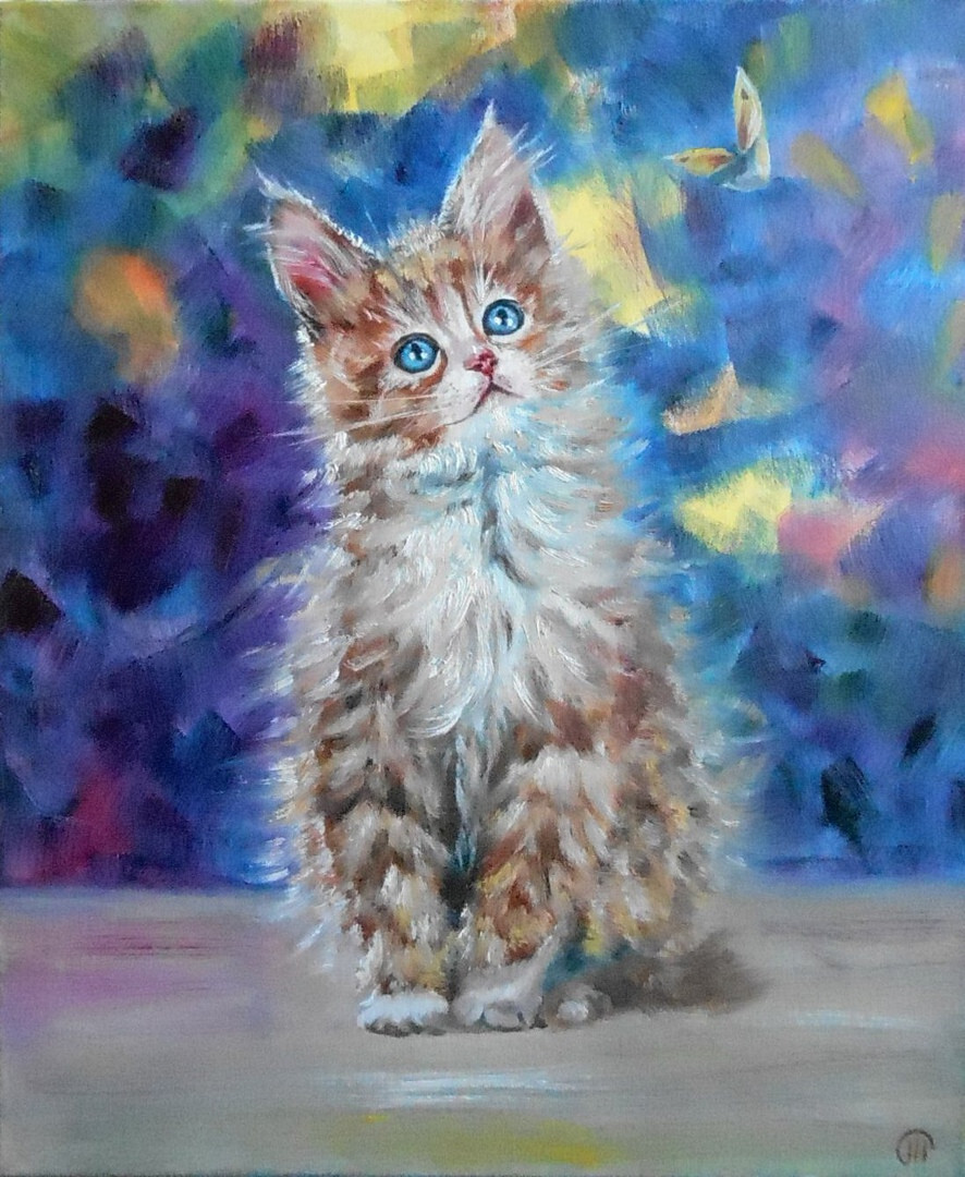 Котик и бабочка