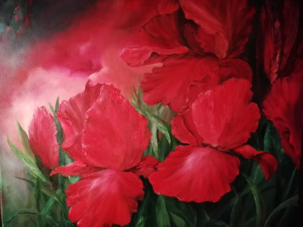 Красные ирисы