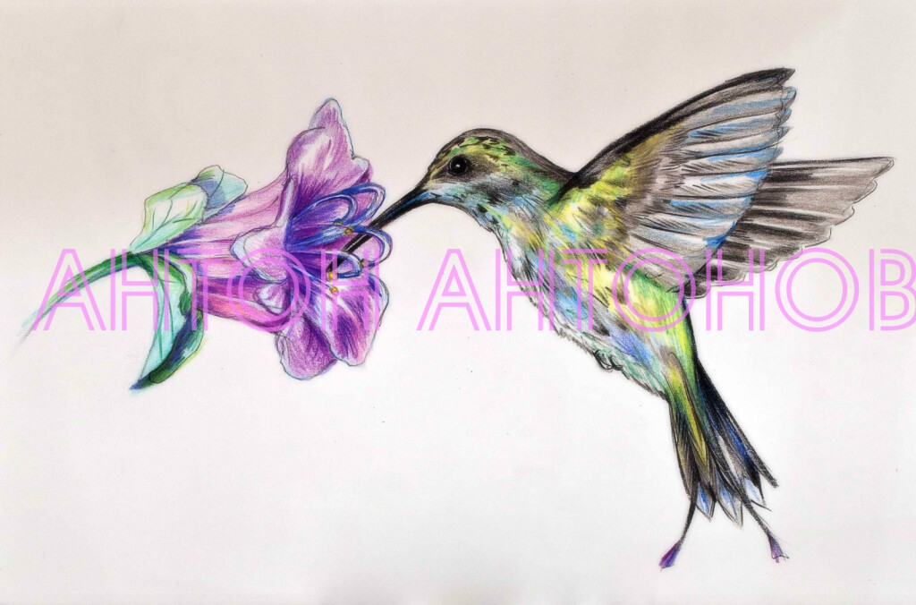 Лиловая Принцесса