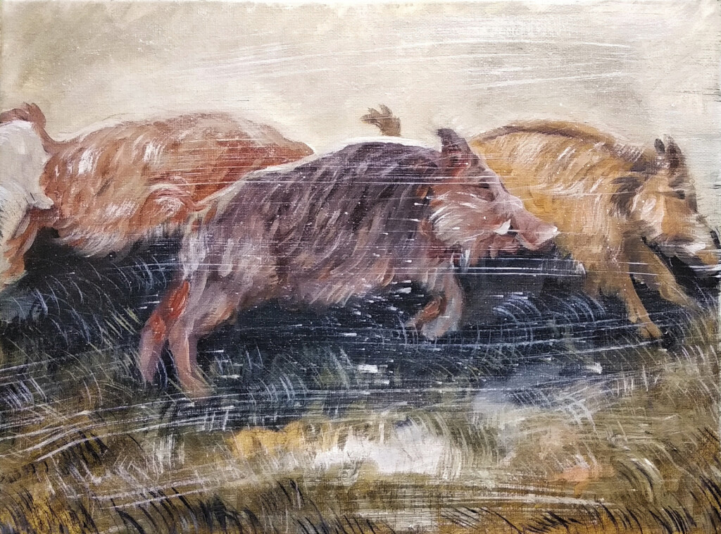 Лесные кабаны