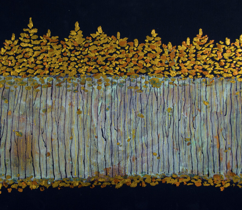 Шварцвальдский лес