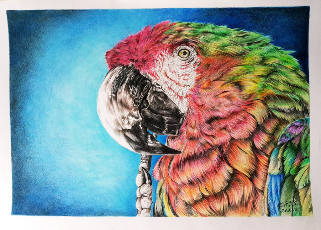 Цвет настроения