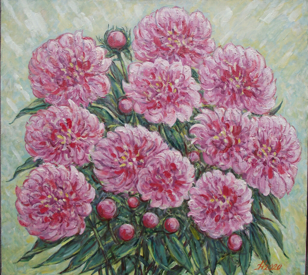 Пионы розовые.